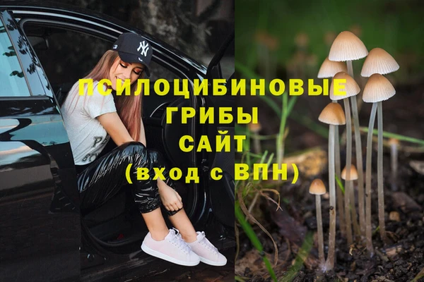 метамфетамин Пестово