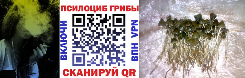 Псилоцибиновые грибы MAGIC MUSHROOMS  где купить наркотик  Руза 