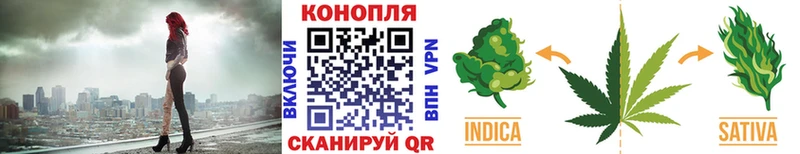 Марихуана конопля  закладка  мега зеркало  Руза 
